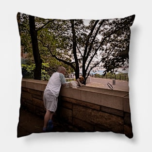 Fifth Avenue Central Park Dog Relax NYC Pillow