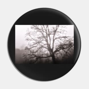 Tree skeleton in fog Pin