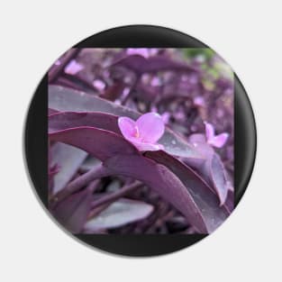 Lavender Flower Popping Out of Purple Leaves Pin