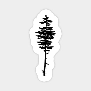 Pine Tree Magnet