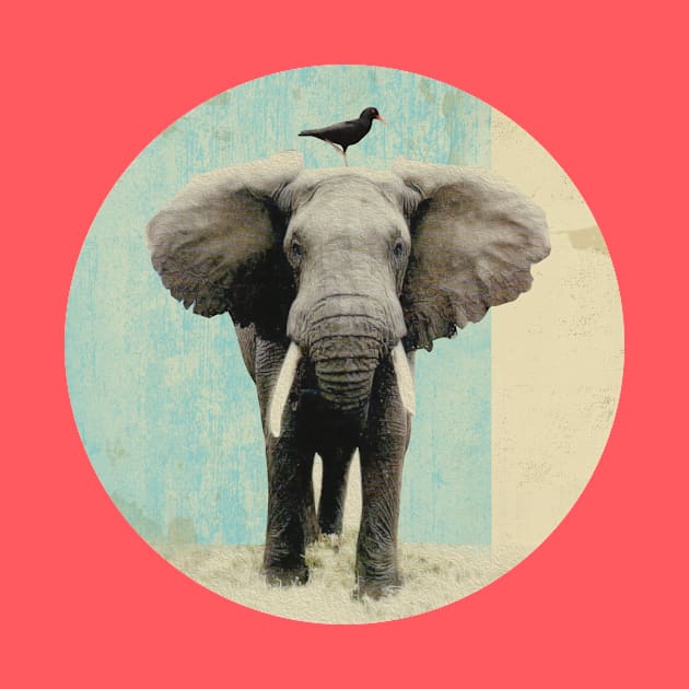 Elephant and a Blackbird - BFF by Vin Zzep