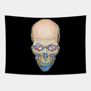 Delicate Blue Skull Tapestry