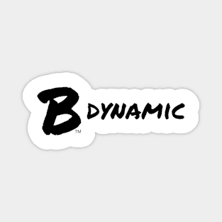 B Dynamic Magnet