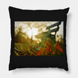 Back-lit Fallen Leaf with Bench Pillow