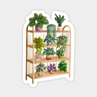 Plant Shelf Magnet