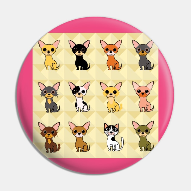 Assorted Chihuahua dogs one cat Pin by Brash Ideas