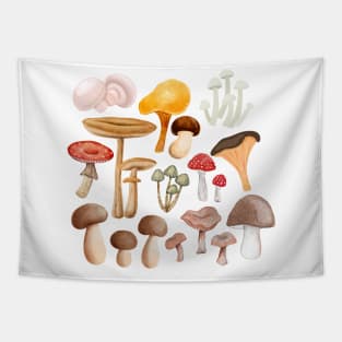 Mushroom multy kind of mushrooms Tapestry