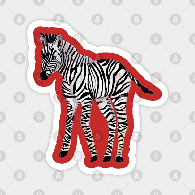 Baby Zebra Magnet by Peleegirl