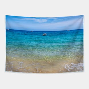 beautiful scenery beach wave Tapestry