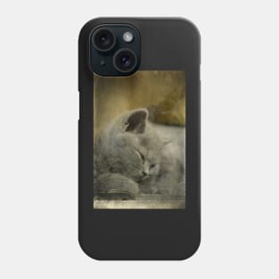 Sweet Little Grey Kitten Phone Case