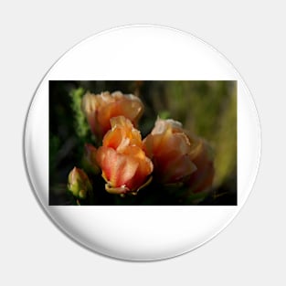 Just Peachy Pin