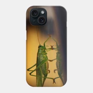 grasshopper, macro Phone Case