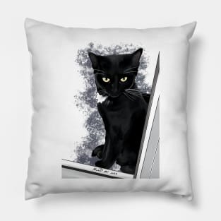 Ari the black cat Pillow