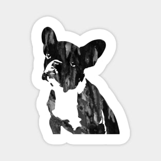 French Bulldog, Frenchie Magnet