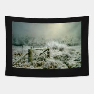 Heavy Frost Tapestry