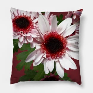 Chrysanthemums - Light Pink Mums With Dark Pink Center Pillow