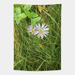 Wildflowers in the Grass Tapestry