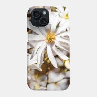 Tender spring magnolia flower - the magic of flowers Phone Case