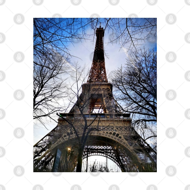 Eiffel Tower - Paris - France by Noamdelf06