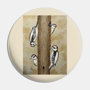 Downy woodpeckers in the forest Pin