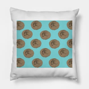 Curled Up Pangolin Illustration Pillow