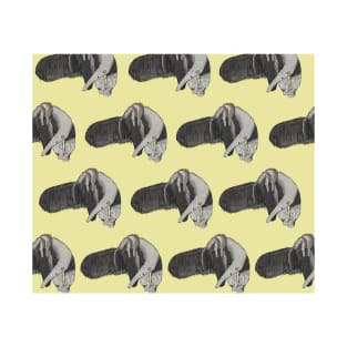 Amazing Giant Anteater T-Shirt