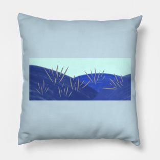 Badlands_Blue Pillow