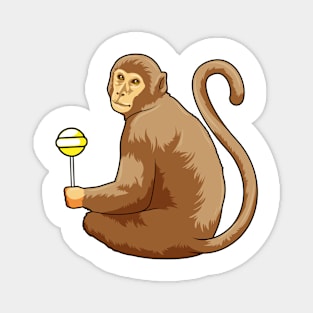 Monkey with Lollipop Magnet