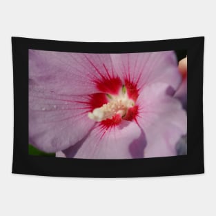 Hibiscus, purple, flower, pistil Tapestry