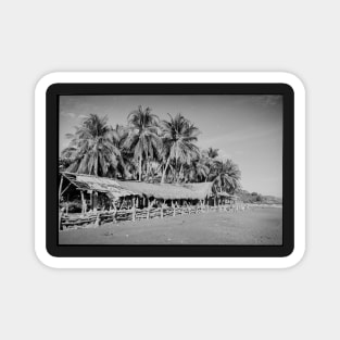 Palm Trees on Tropical Beach Shot on Black and White Film Magnet