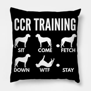 CCR Training Curly-Coated Retriever Tricks Pillow