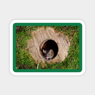 Mouse in a mossey hole Magnet