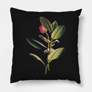 Beautiful Flowers 17 Pillow