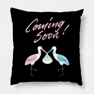 Mother's To Be, New Moms, Baby Announcement Cute, Storks, Coming Soon Design Pillow