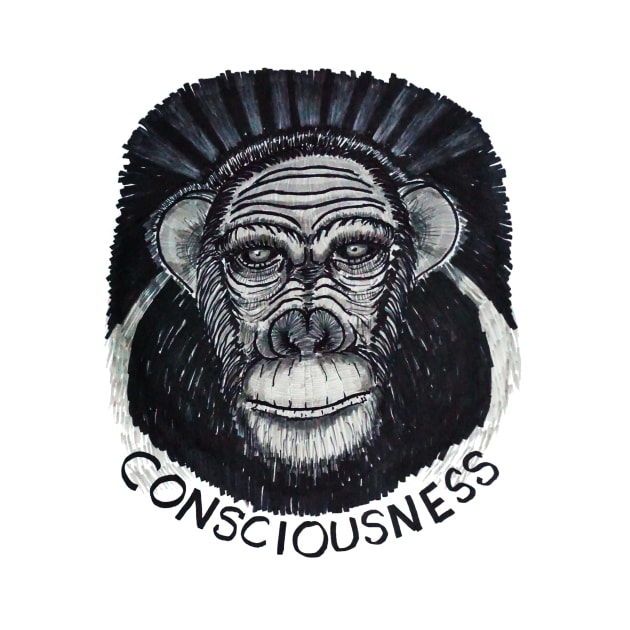 Conciousness by Condor