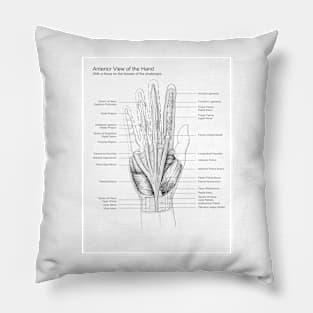 Black and White Hand Dissection Illustration Pillow