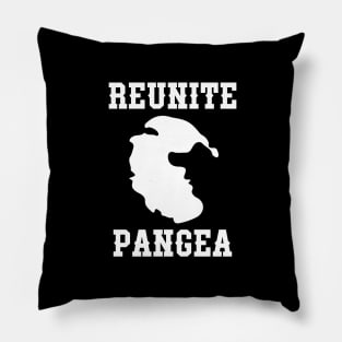 reunite pangea Pillow