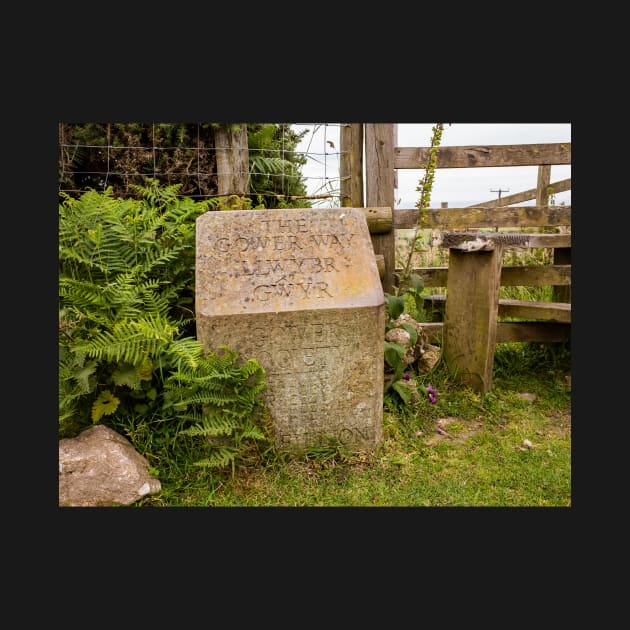 Concrete marker stone next to a wooden style near Talgarth’s Well on the Gower Way, South Wales by yackers1