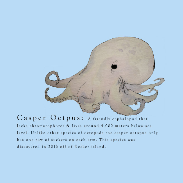 Octopus Species Chart