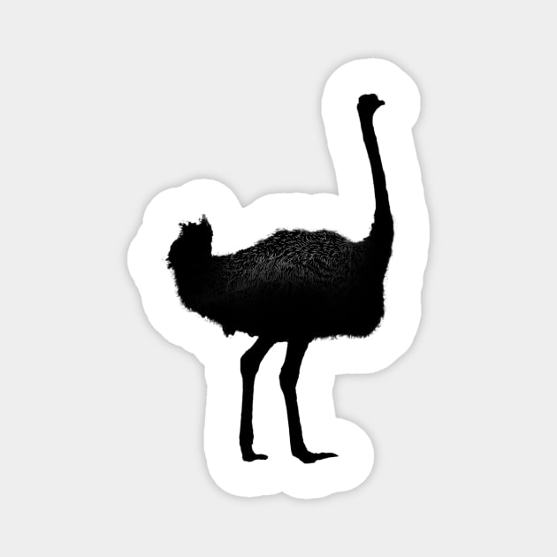 'Vintage Ostrich Graphic' Adorable Bird Lover Gift Magnet by ourwackyhome