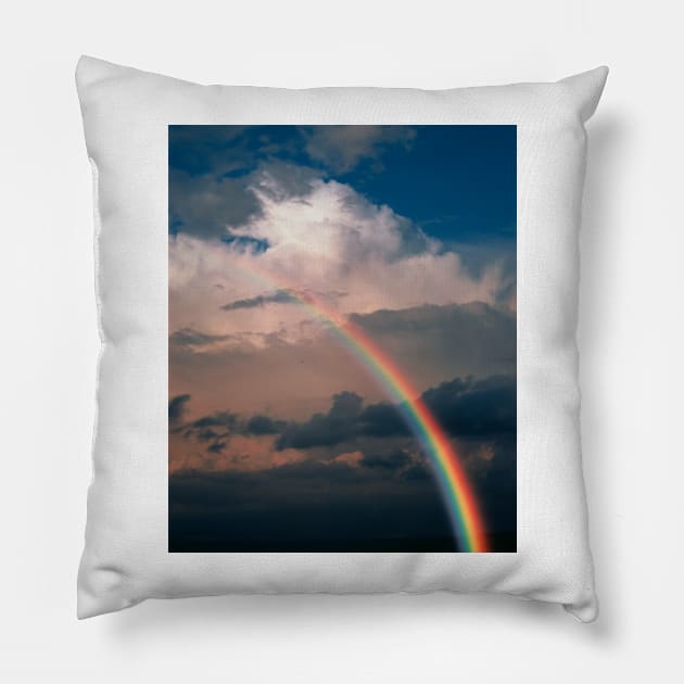 Rainbow (E135/0072) Pillow by SciencePhoto