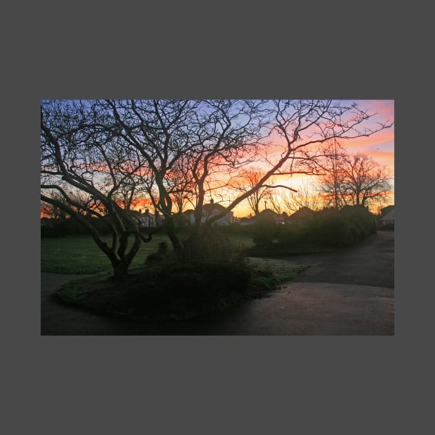 Winter Sunrise, Redhill Park, January 2022 by RedHillDigital