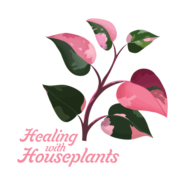 Pink Princess Philodendron | Healing with Houseplants by csikarskie