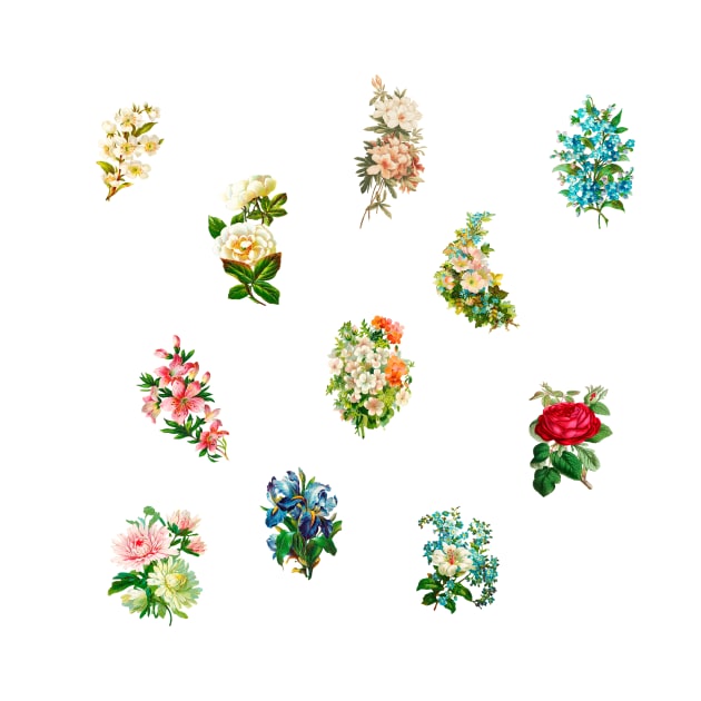 Vintage flowers botanical by nemram