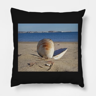 Revere Beach Clam Shell Back Revere MA Pillow