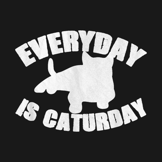 Everyday Is Caturday Funny Cat Lover Gift by Peter Smith