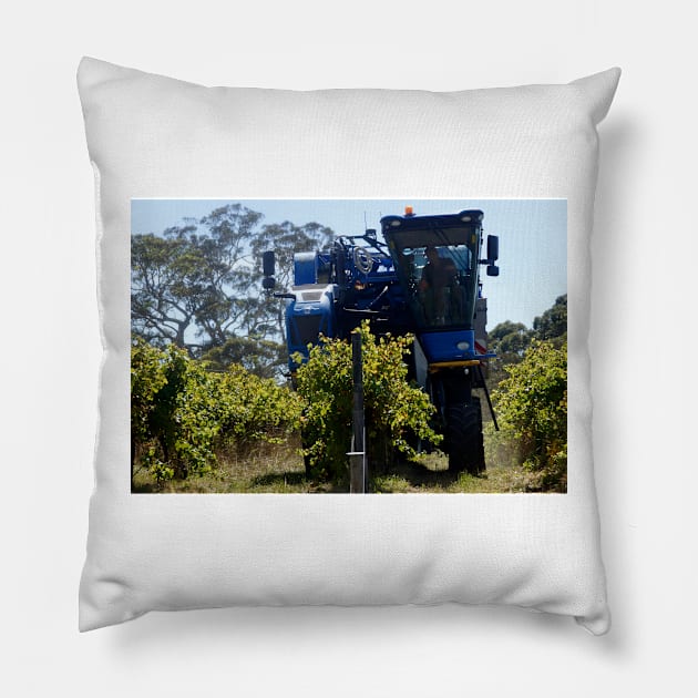 Grape Harvester at Magpie Springs by Avril Thomas Pillow by MagpieSprings