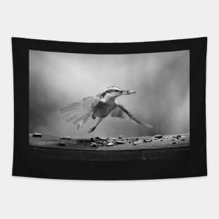 Nuthatch takes flight Tapestry