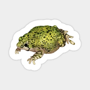 Cozy Western Green Toad Magnet