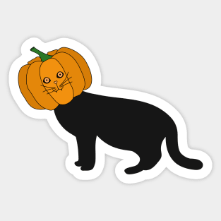 Pumpkin Cat Sticker – PONYPEOPLE